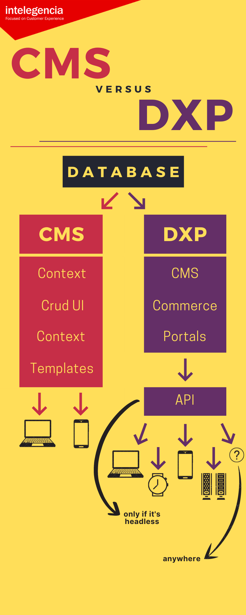 The differences between CMS and DXP platforms.