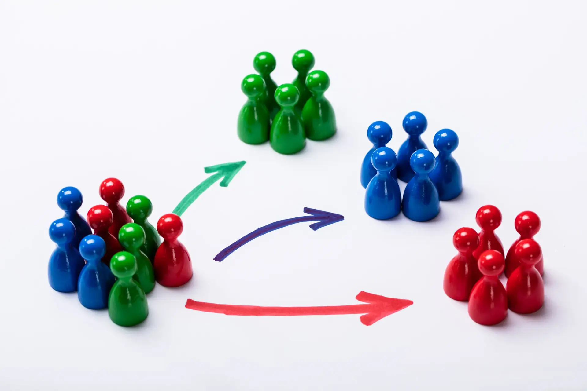 Lifecycle Stage Segmentation