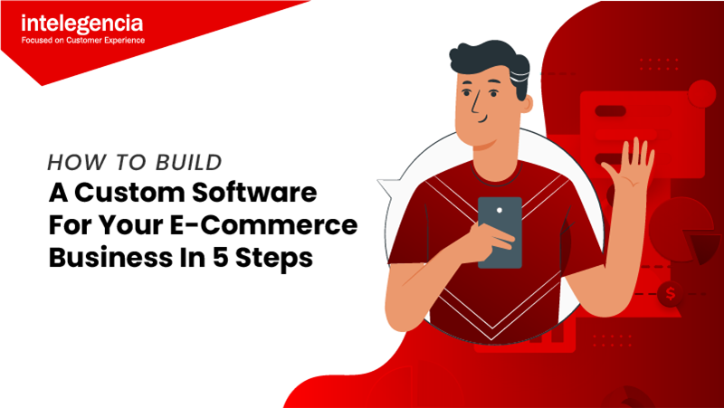5 Easy Steps To Build An Custom E-Commerce Software - Thumbnail