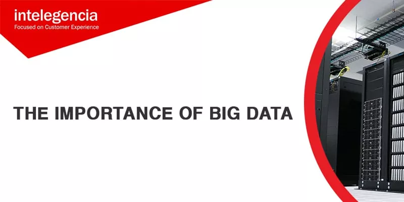 The Importance Of Big Data. Hero Image
