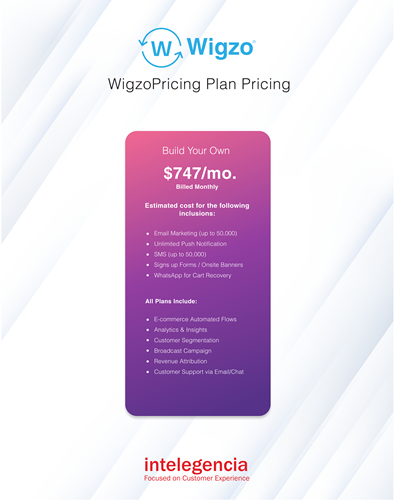 Wigzo Pricing Table