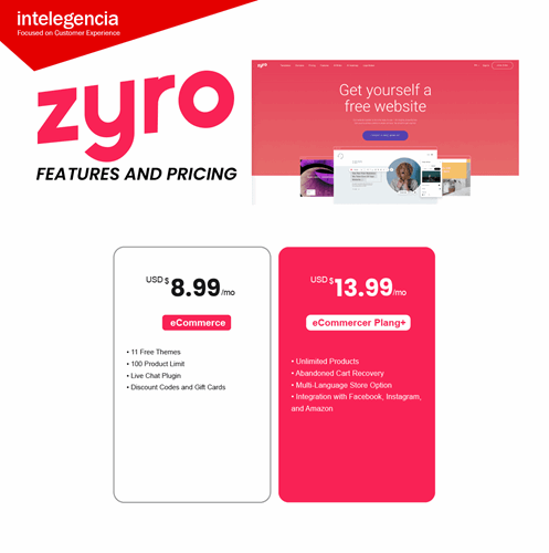 Zyro infographics