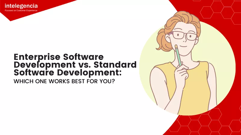 Thumbnail - Enterprise Software Development Vs. Standard Software Development