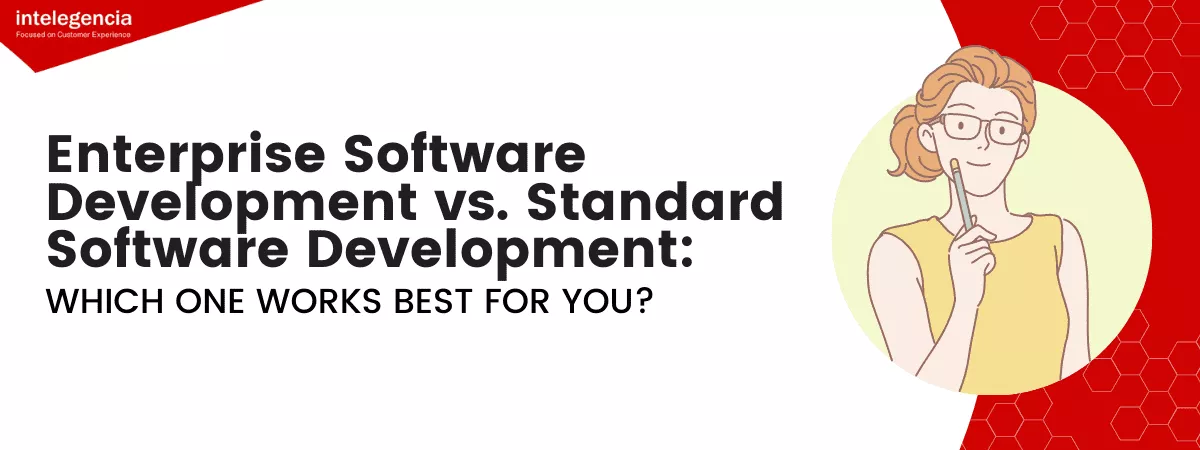 Enterprise Software Development vs. Standard Software Development - Banner