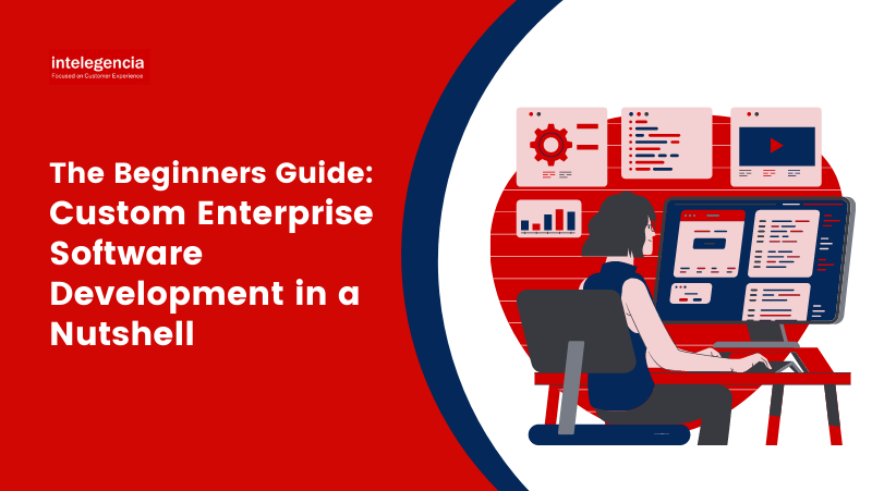 Thumbnail - The Beginners Guide: Custom Enterprise Software Development