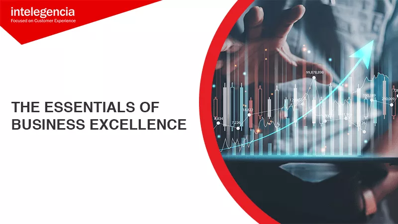 The Essentials of Business Excellence - Both